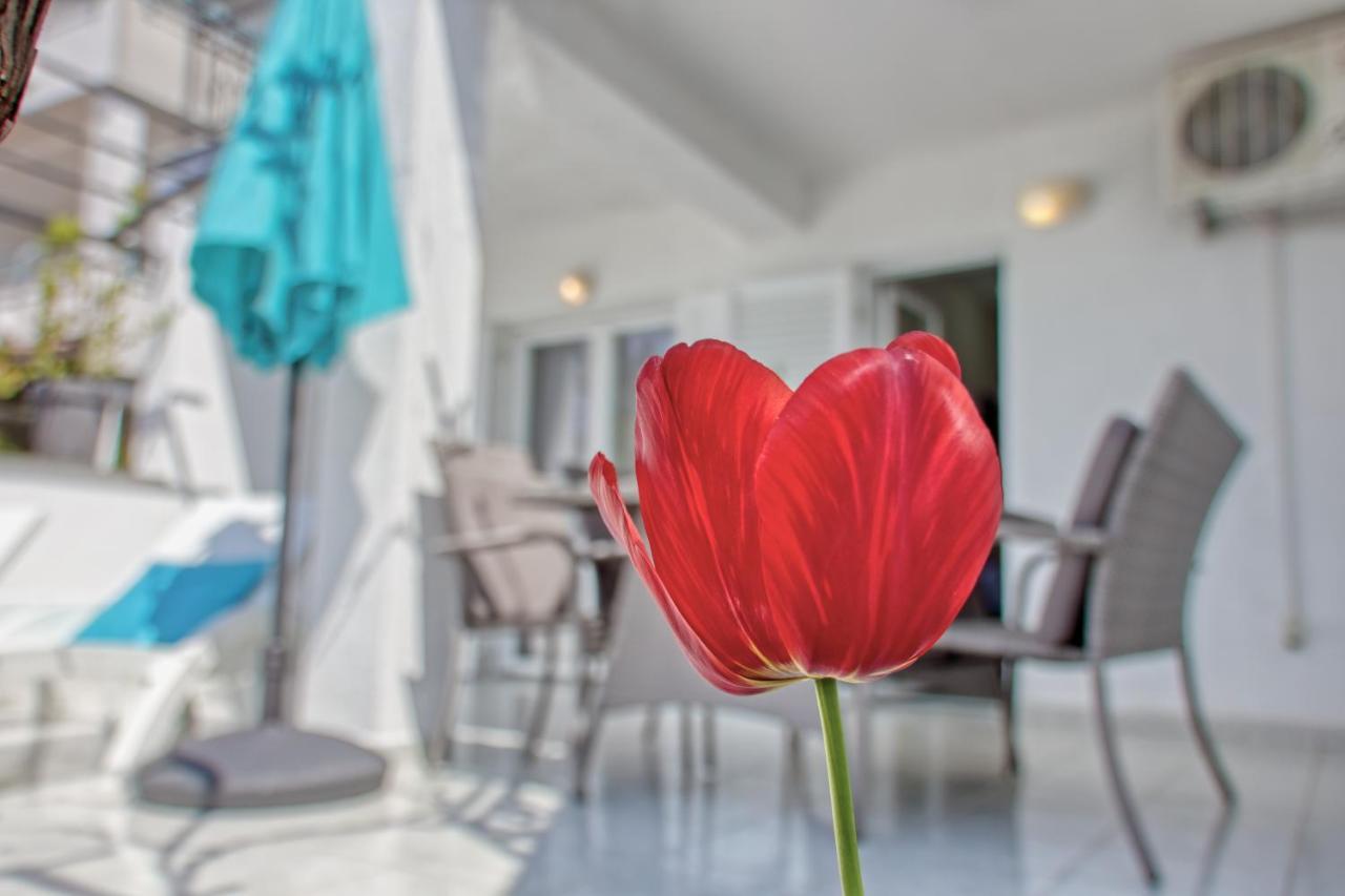 Apartments Birimac بولا المظهر الخارجي الصورة